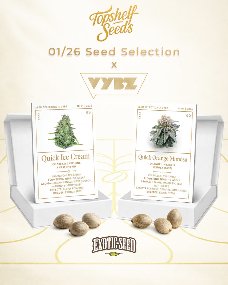 Seed Selection Open